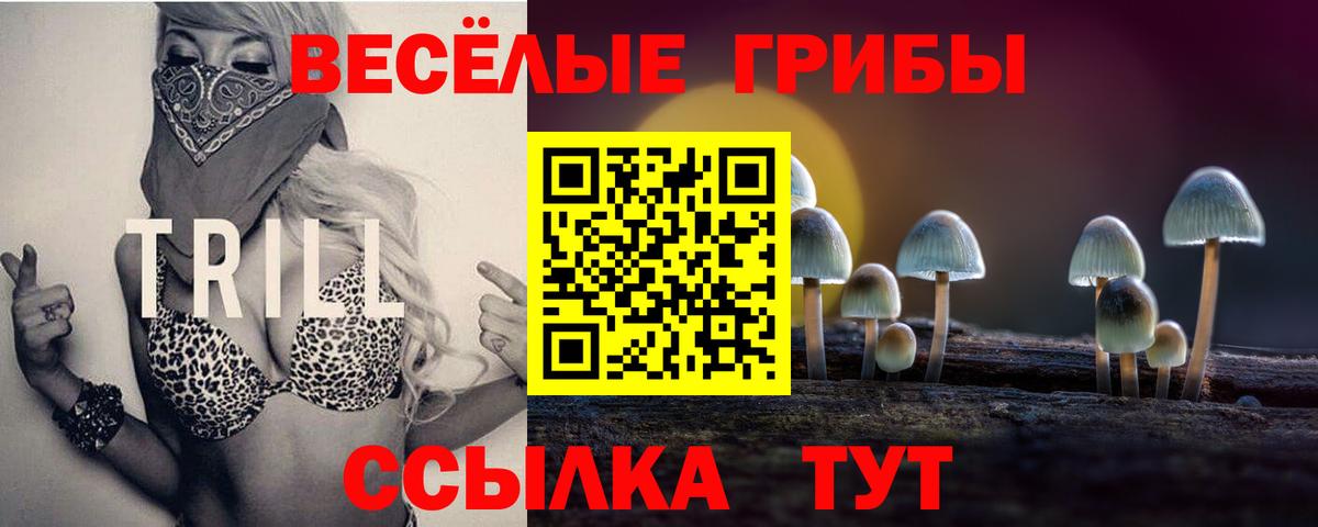 Галлюциногенные грибы мухоморы  Псилоцибиновые грибы ЛСД  Ярославль  Вход с VPN 